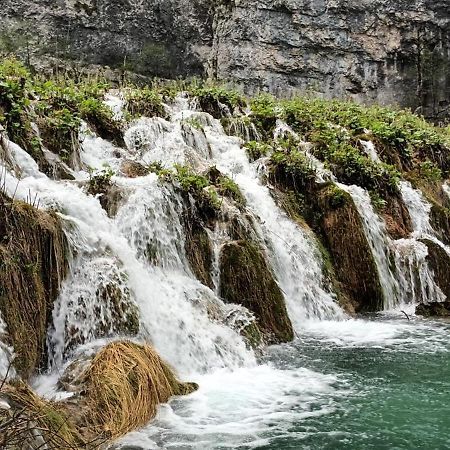 Guesthouse Nikola Plitvička Jezera المظهر الخارجي الصورة